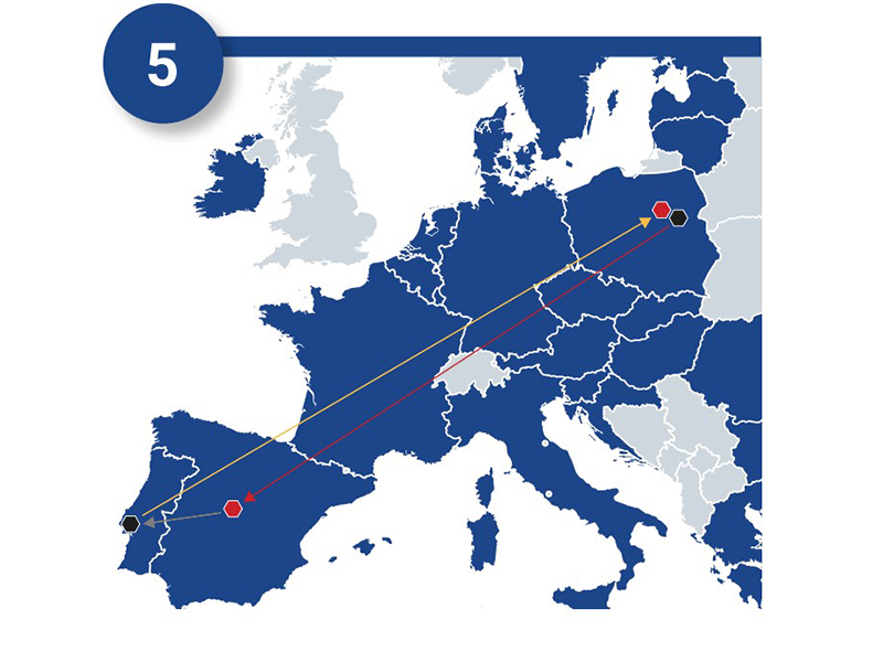 Image in Article